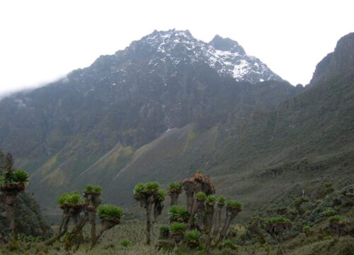 mountain hiking
