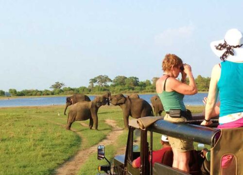 Murchison-falls-National-Park-Safari-edited