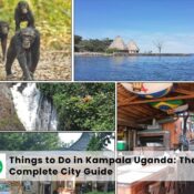 Things to Do in Kampala Uganda