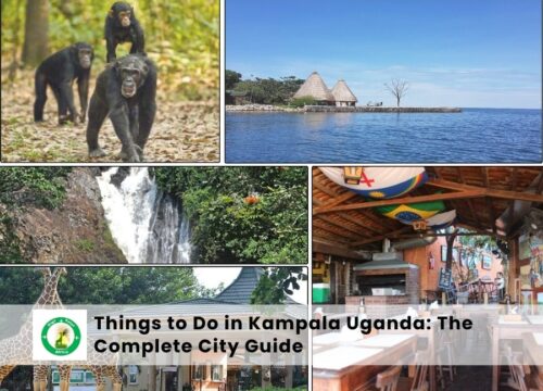 Things to Do in Kampala, Uganda: The Complete City Guide