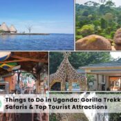 Things to Do in Uganda