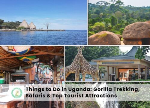 Things to Do in Uganda: Complete Travel Guide for Safaris, Gorilla Trekking, Wildlife & Adventure