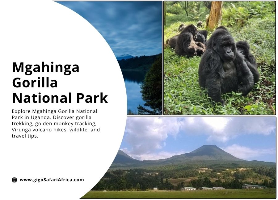 Mgahinga Gorilla National Park