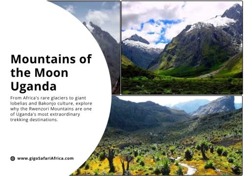 Rwenzori Mountains Uganda: The Mountains of the Moon